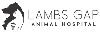 Lambs Gap Animal Hospital